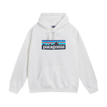 patagonia terry hoodie