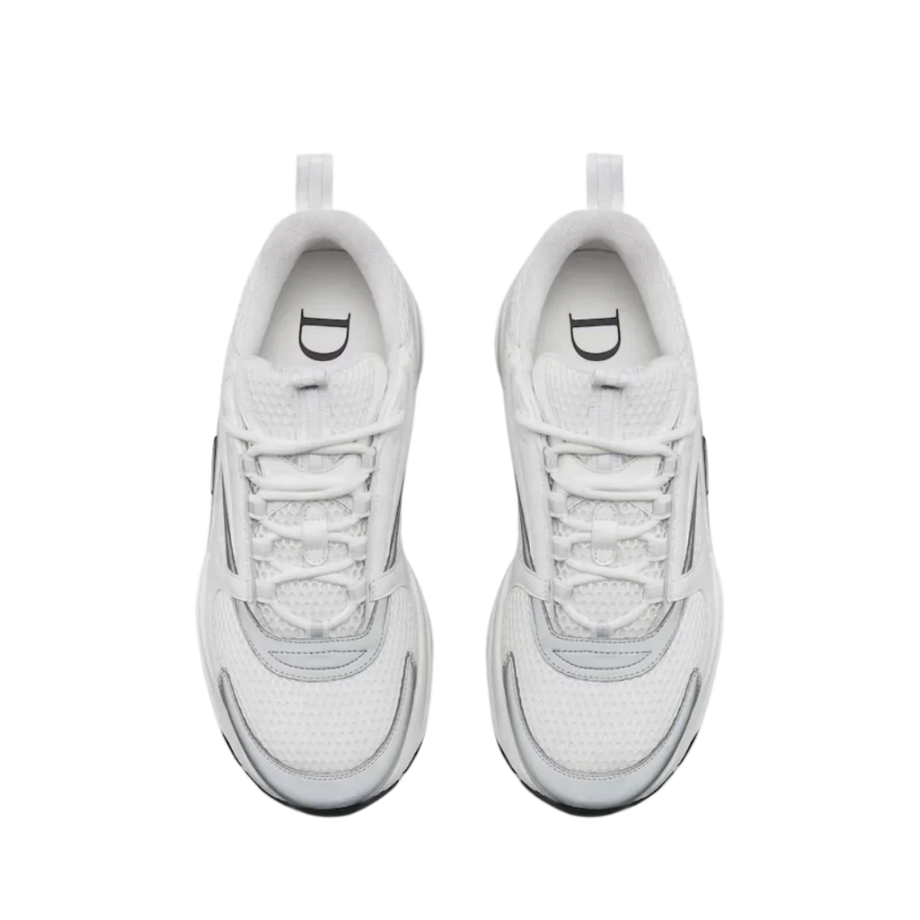 Dior B22 'White Grey'