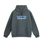 patagonia terry hoodie